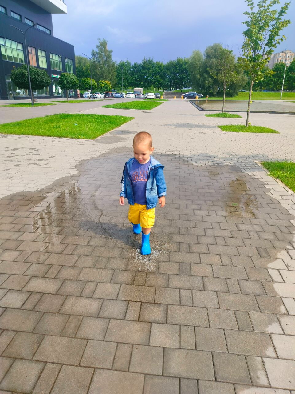 Сегодня был дождь