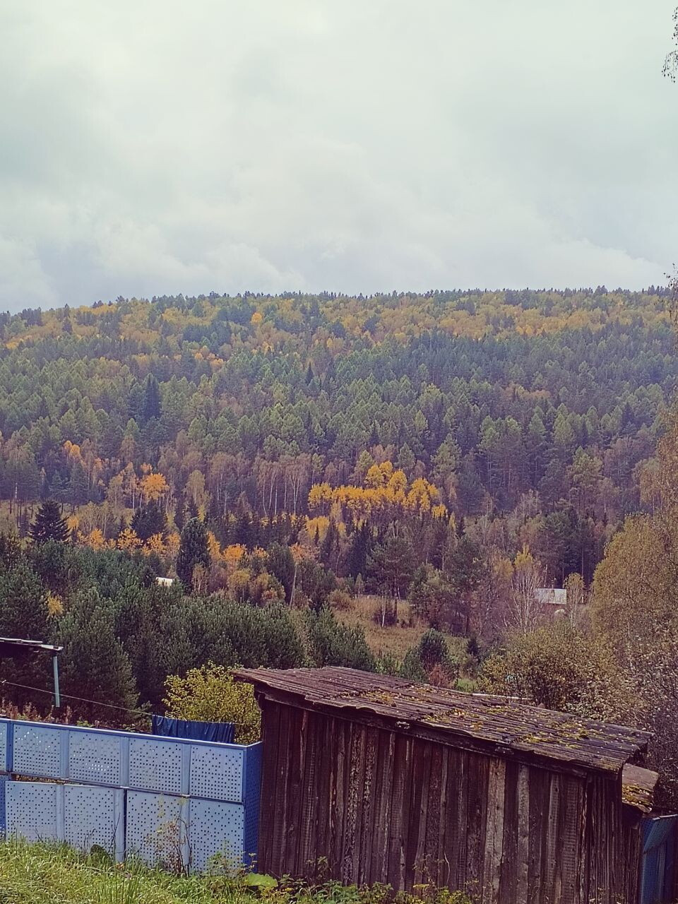 Красота осени 🍁