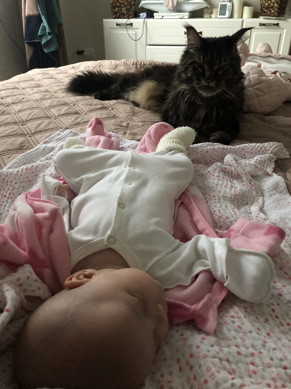 Зайке 1 месяц и 10 дней❤️❤️❤️