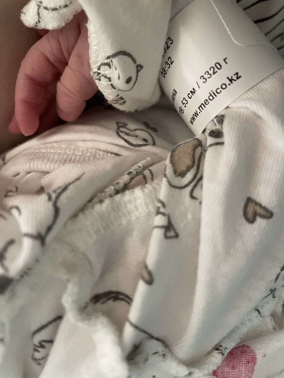 Анкета вторых родов🎀