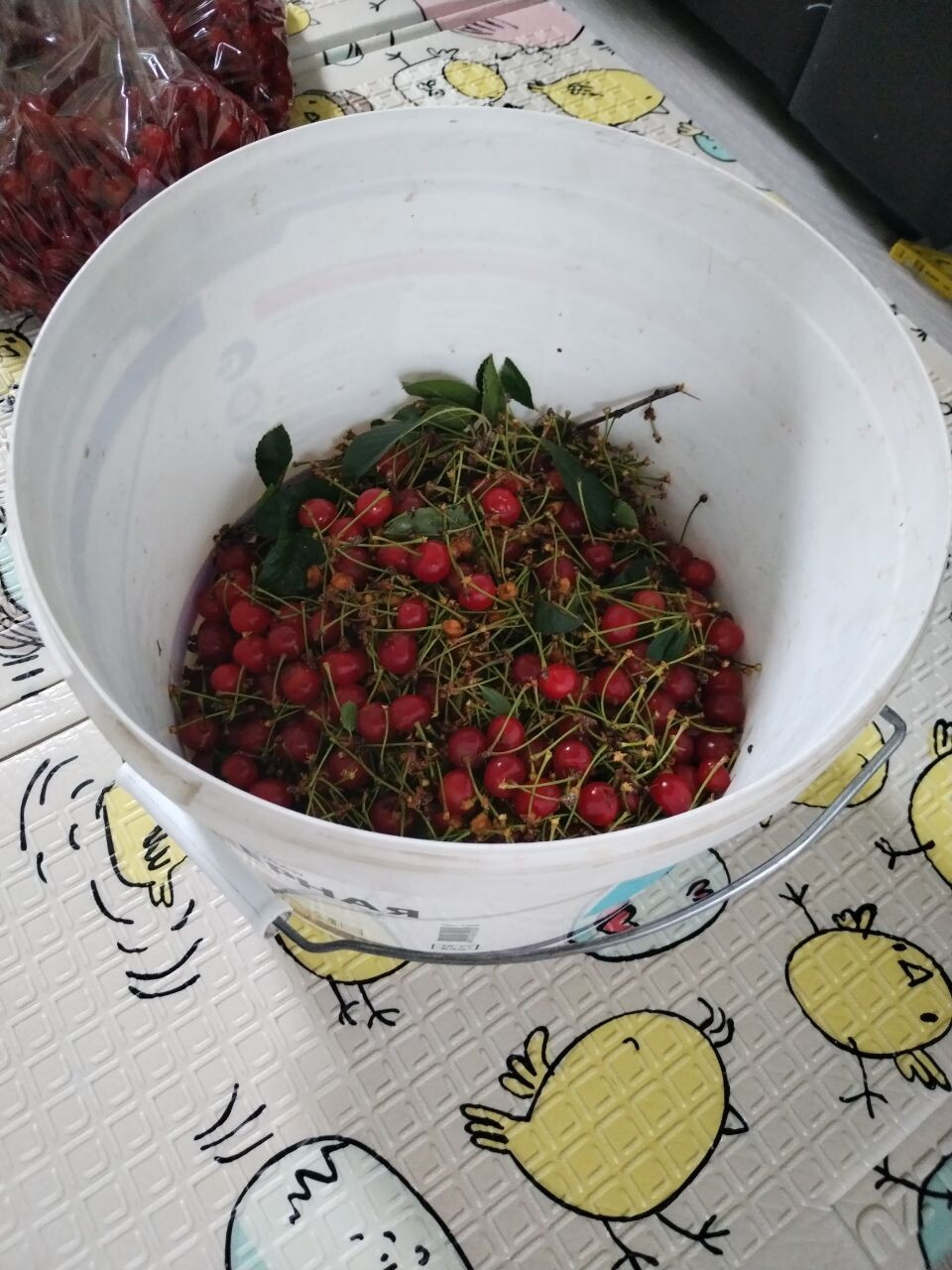 Заготовки