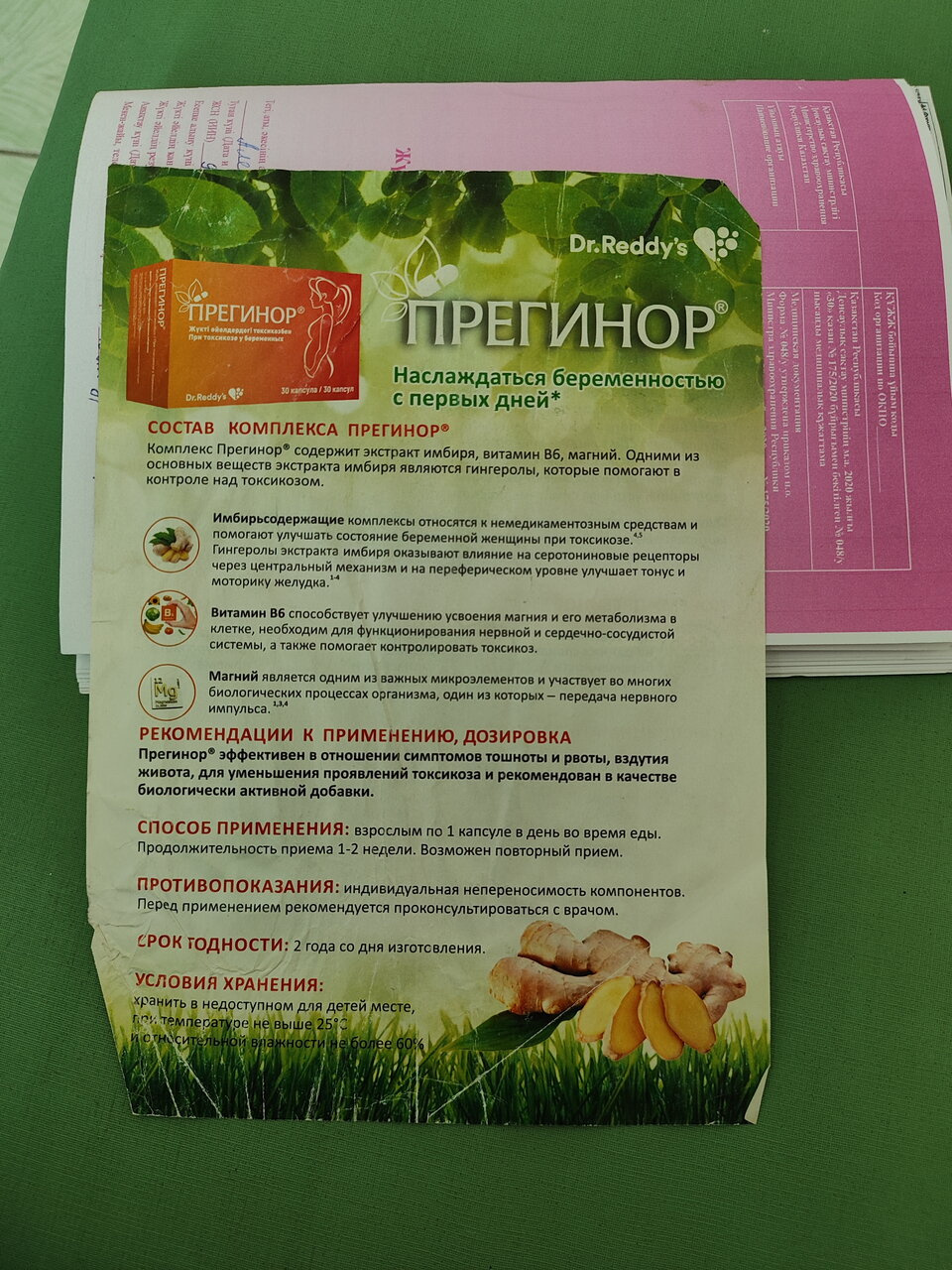 Прегинор