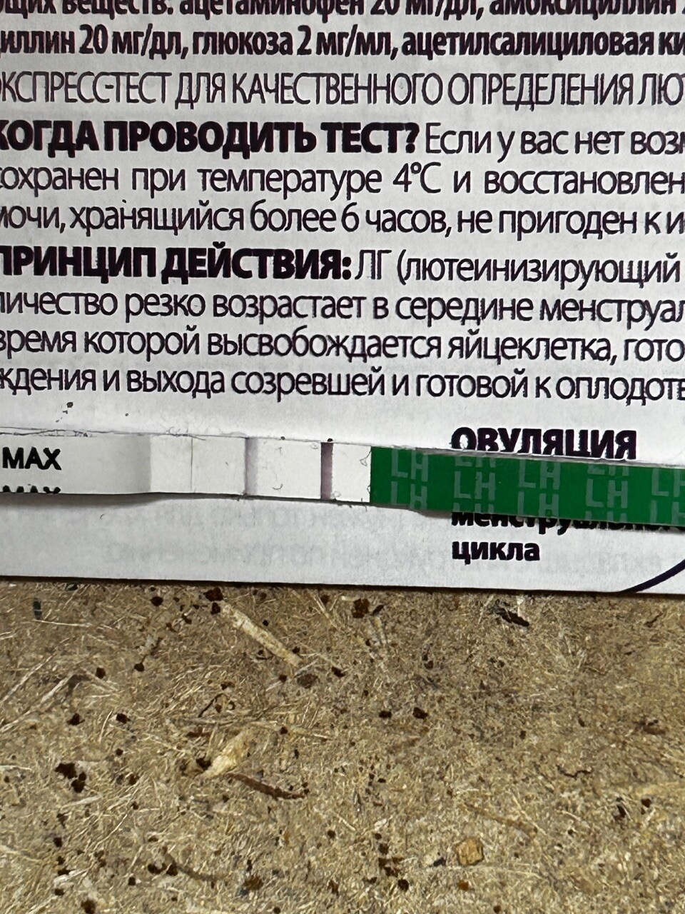 Близко ли овуляция?