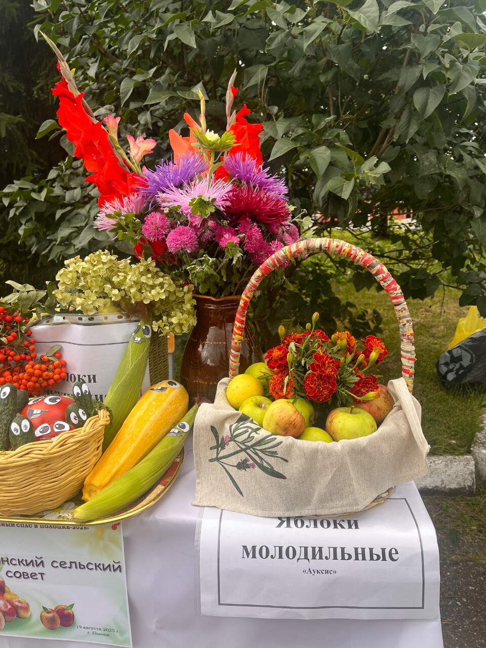 Яблочный Спас. Покажу молодильные яблоки.