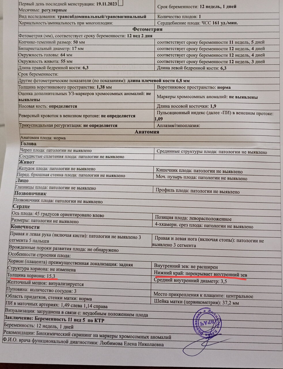 1 скрининг